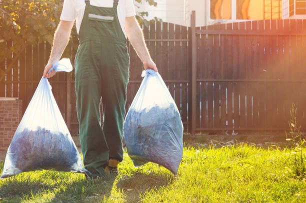 Best Local Junk Hauling  in Ottawa, IL